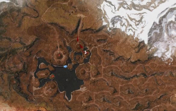 流放者柯南最新學習版攻略