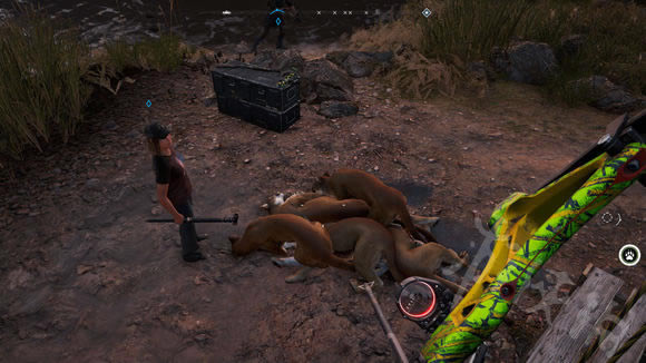 孤島驚魂5學(xué)習(xí)版攻略