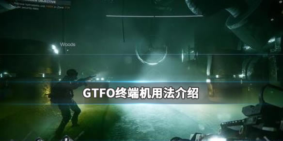 GTFO完美学习版攻略