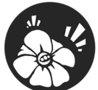 遗迹灰烬重生学习版攻略