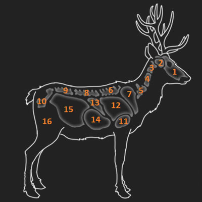 獵人野性的呼喚攻略