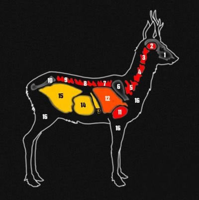 獵人野性的呼喚攻略