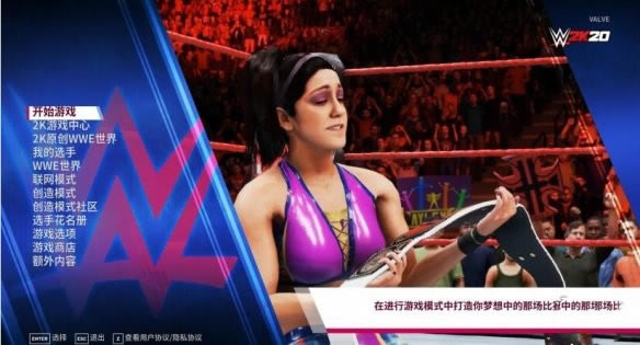 WWE2K20ͼ