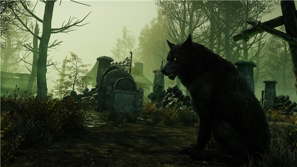 ����ѷ�������������