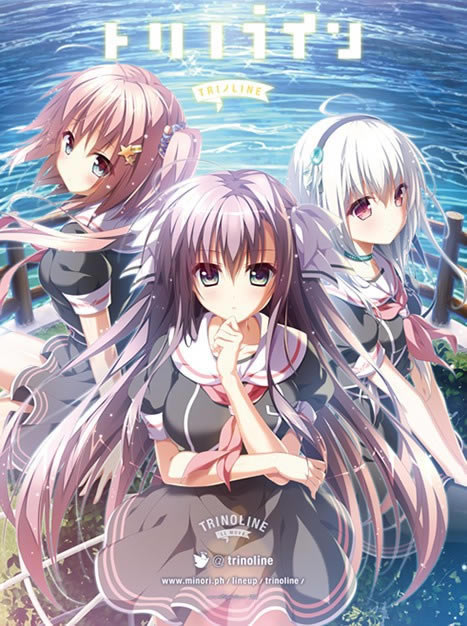 trinolineѧϰ��˵��