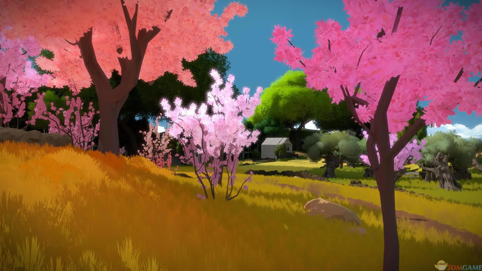 见证者游戏下载