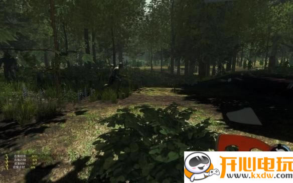 【The Forest学习版】The Forest免费下载 中文学习版-开心电玩