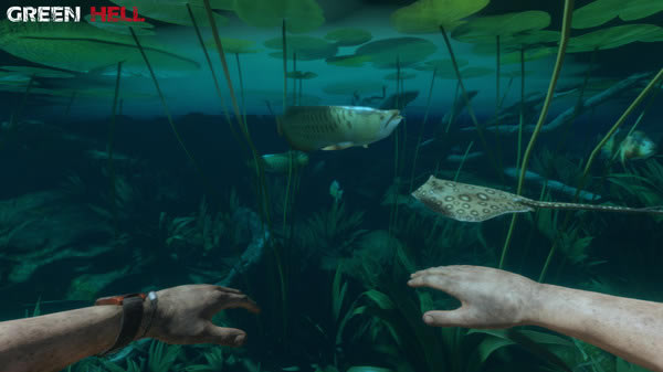 �����ֵ���ѧϰ�桿���ֵ������԰�ѧϰ������ ��ɫ�ⰲװ���İ�-���ĵ���