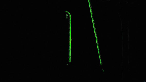 ֮·2ɹ󿳵MODd_֮·2ɹ󿳵MOD GɫM-_