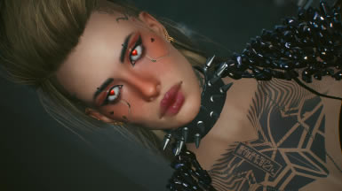 2077Ըлױ༭MOD_2077Ըлױ༭MOD Ѱ-ĵ