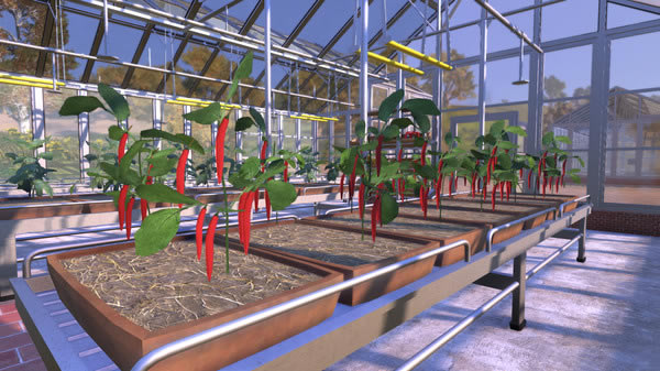 农民王朝中文下载截图