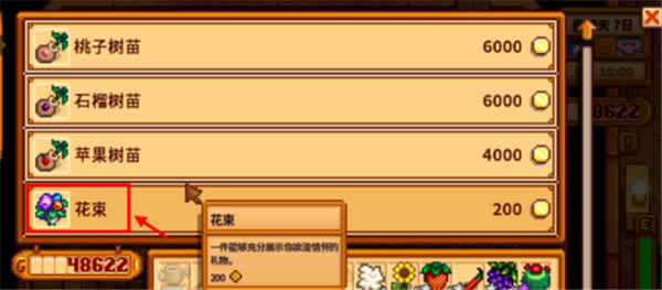 星露谷物语汉化版结婚攻略3