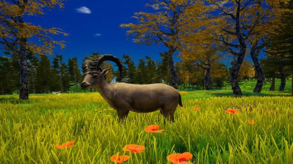 我的海岛中文版截图