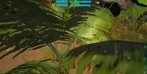 ���۽�������ѧϰ�湥��