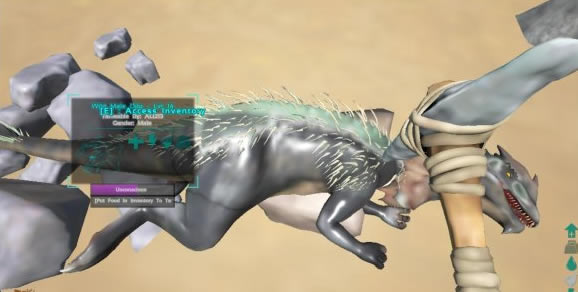 ���۽�������ѧϰ�湥��