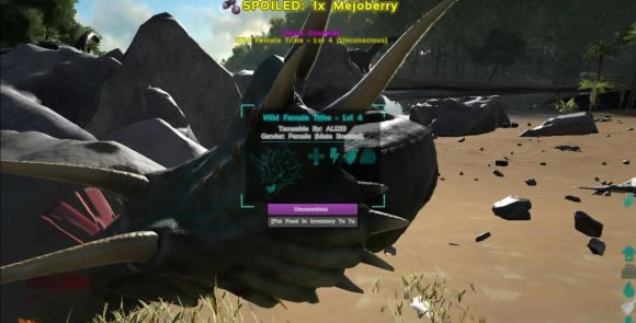 ���۽�������ѧϰ�湥��