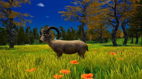 �ҵĺ������İ��ͼ