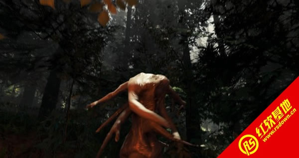 ��ʧɭ�� The Forest v0.06����|��ʧɭ�� The Forest v0.06��Ϸ