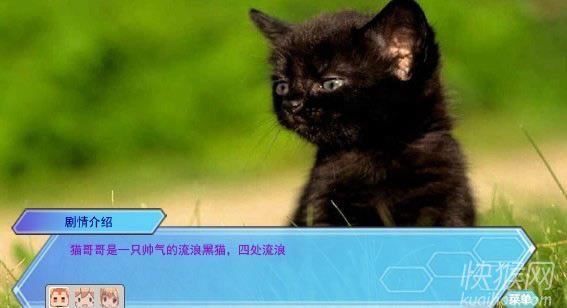 进击的猫哥哥游戏