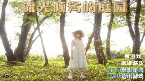 流光倾泻的庭园游戏