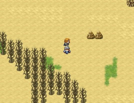 两个苹果的沙漠游戏