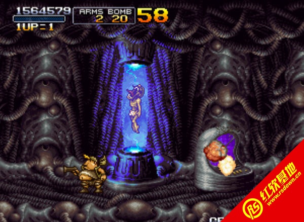 �Ͻ�ͷ6�ֻ���