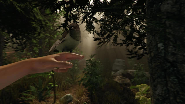 ɭ��(The Forest)v0.17��Ϸ��վ