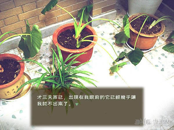 绿噩游戏本站