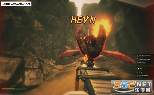 “HEVN游戏”/