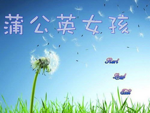 �ѹ�ӢŮ���������ĺ�����