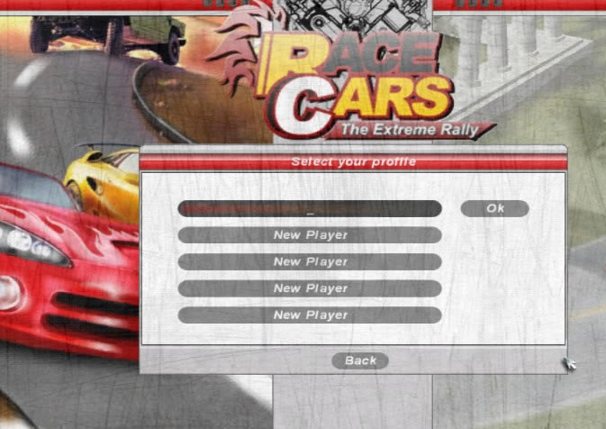 ���޿������Race Cars The Extreme RalӲ�̰�